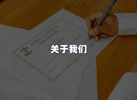 关于我们